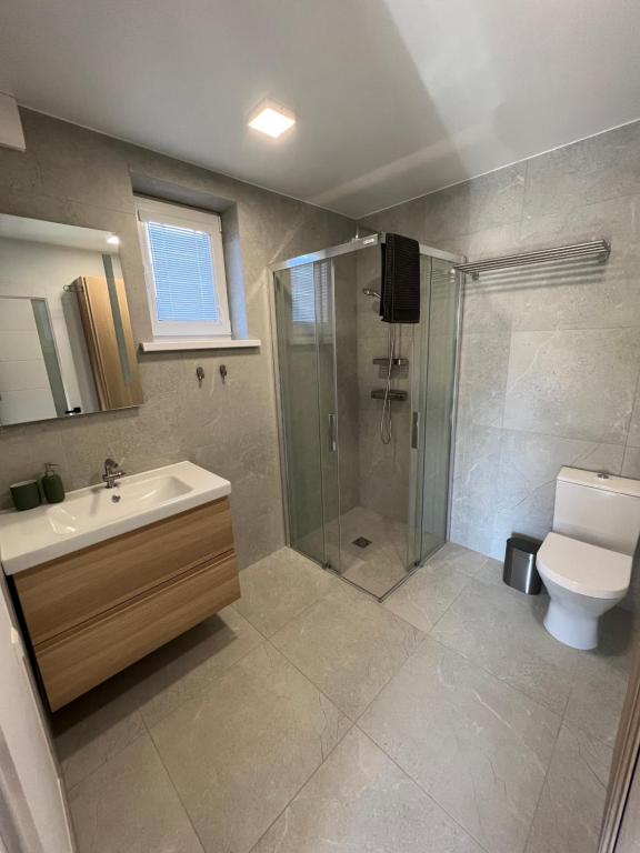 帕兰加Apartamentai “Kuršių Snauda”的带淋浴、盥洗盆和卫生间的浴室