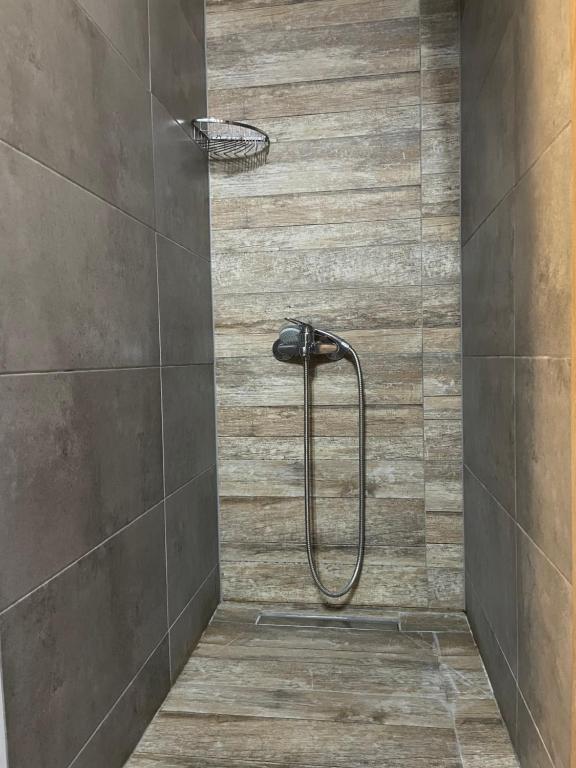 亚历山德鲁波利斯Centro Alexandroupolis的浴室内配有淋浴和头顶淋浴