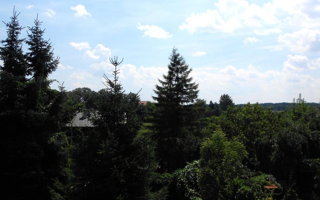 克拉科夫埃克斯特拉博克耶杜维纳耶西亚旅舍的一群蓝天和云的树木