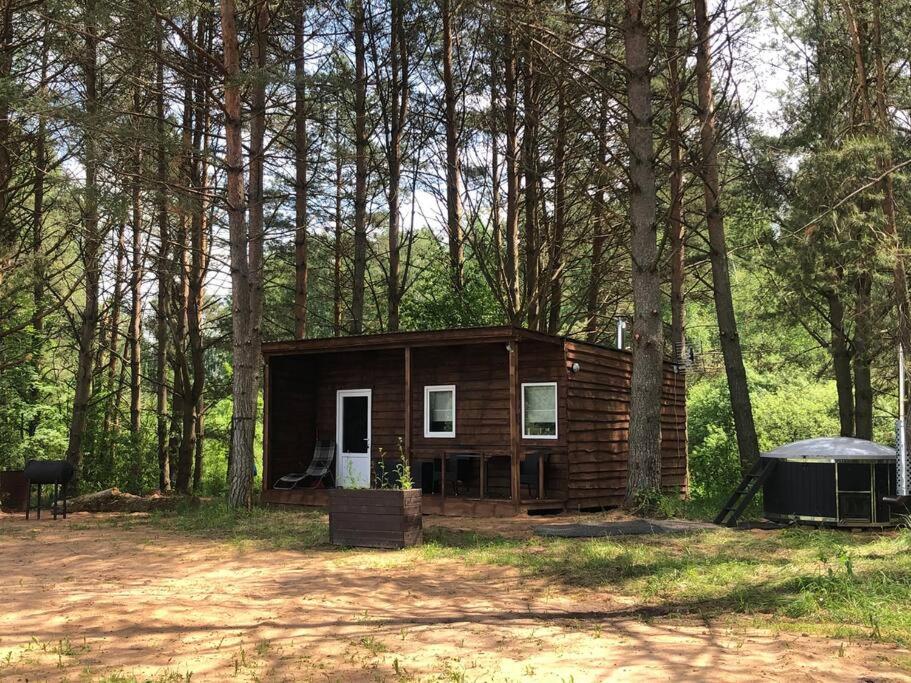 OzolaineForest cabin的森林中间的小小屋