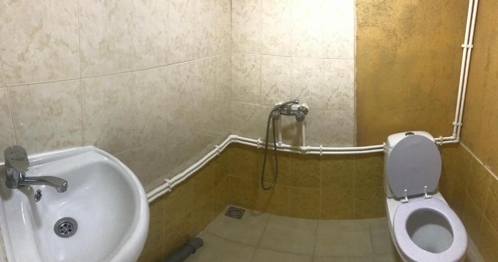 Martuni格瑞盖博住宿加早餐旅馆的一间带卫生间和水槽的浴室