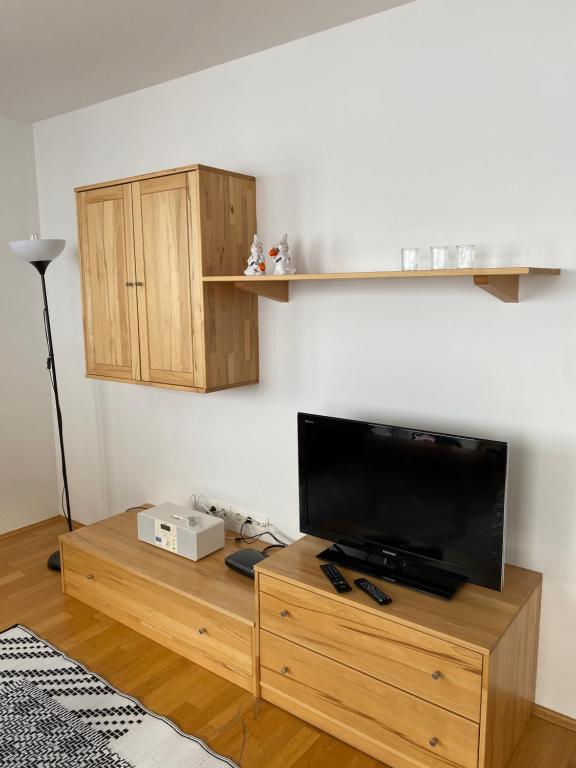 上陶恩Appartements "ALPS" by Kamper的木质娱乐中心设有带平面电视的客厅。
