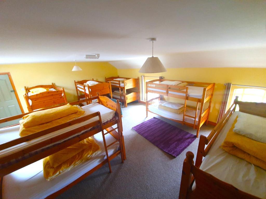 斯莱恩Slane Farm Hostel, Cottages and Camping的一间房间,内设几张双层床