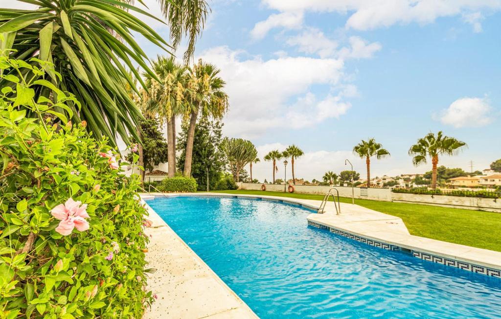 米哈斯Mirador de Calahonda 80的棕榈树庭院内的游泳池