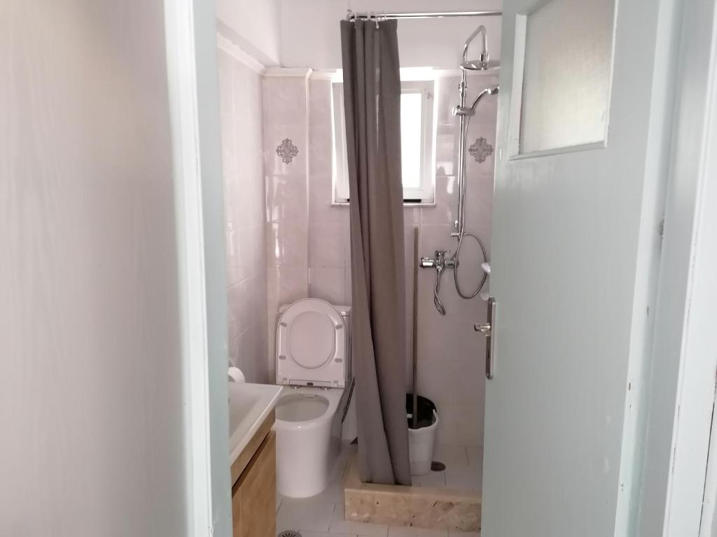 尼亚波利斯MEIMETIS GREEN HOUSE的浴室配有卫生间、盥洗盆和淋浴。