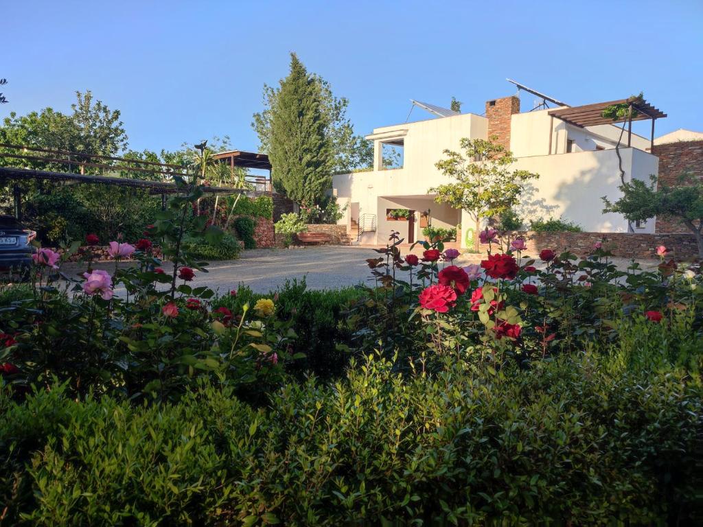 丰东El Domingo en el Valle的一座房子前面的鲜花花园