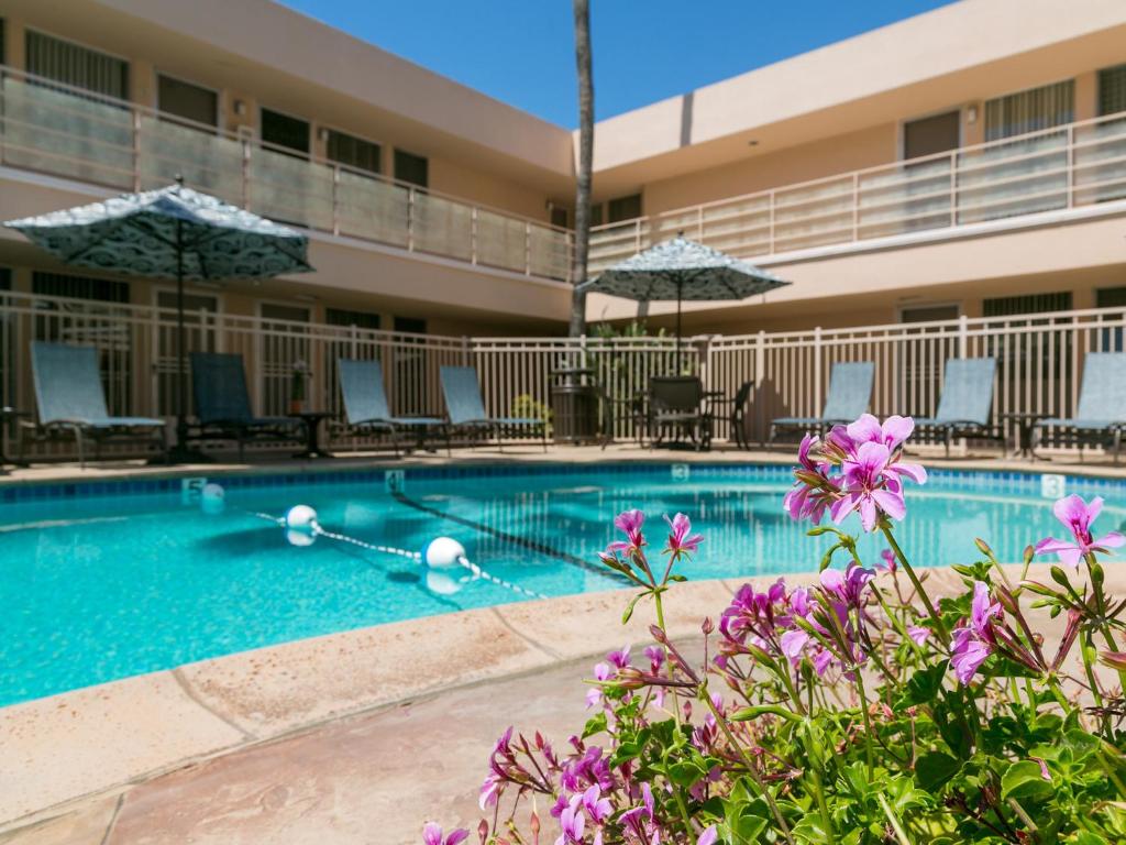 圣地亚哥拉荷亚海滨宾馆的紫色花的酒店的游泳池