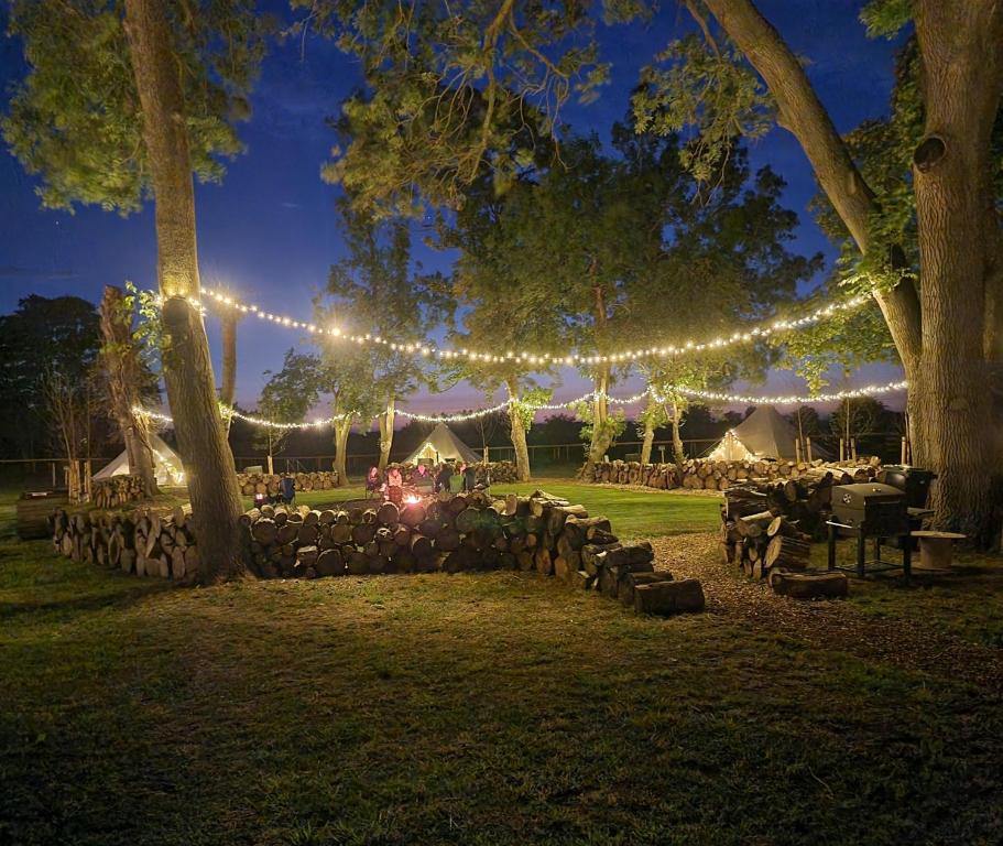 莱肯希思Willow Grove Farm Glamping的婚礼场地,配有灯光和一组桌子
