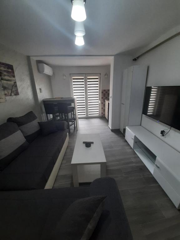 弗尔尼亚奇卡矿泉镇Adrijana 1 Apartmani的客厅配有沙发和桌子