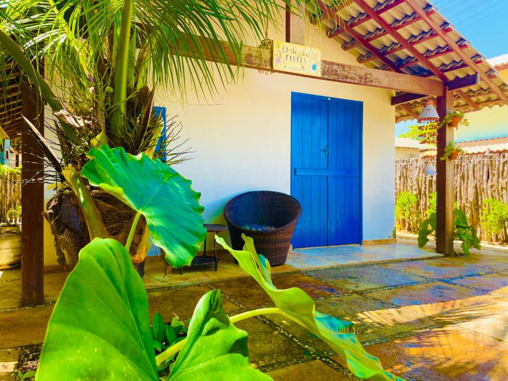 巴拉格兰德Chales Barra Grande的棕榈树房子上的一扇蓝色门