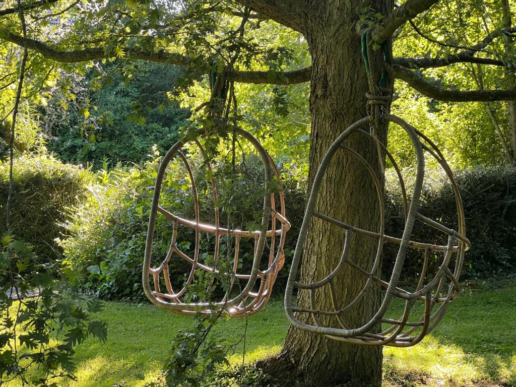 斯霍尔De Aagt-Tuyn的鸟食者挂在树上