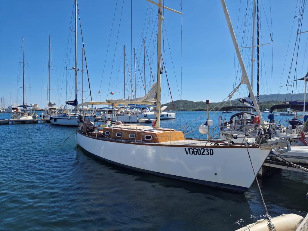 坎尼吉翁Barca a vela d’epoca Emibel的一艘白帆船与其他船只停靠在港口