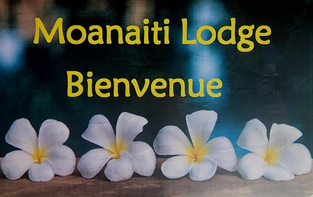MahevaMoanaiti Lodge的坐在桌子上的一组白色花
