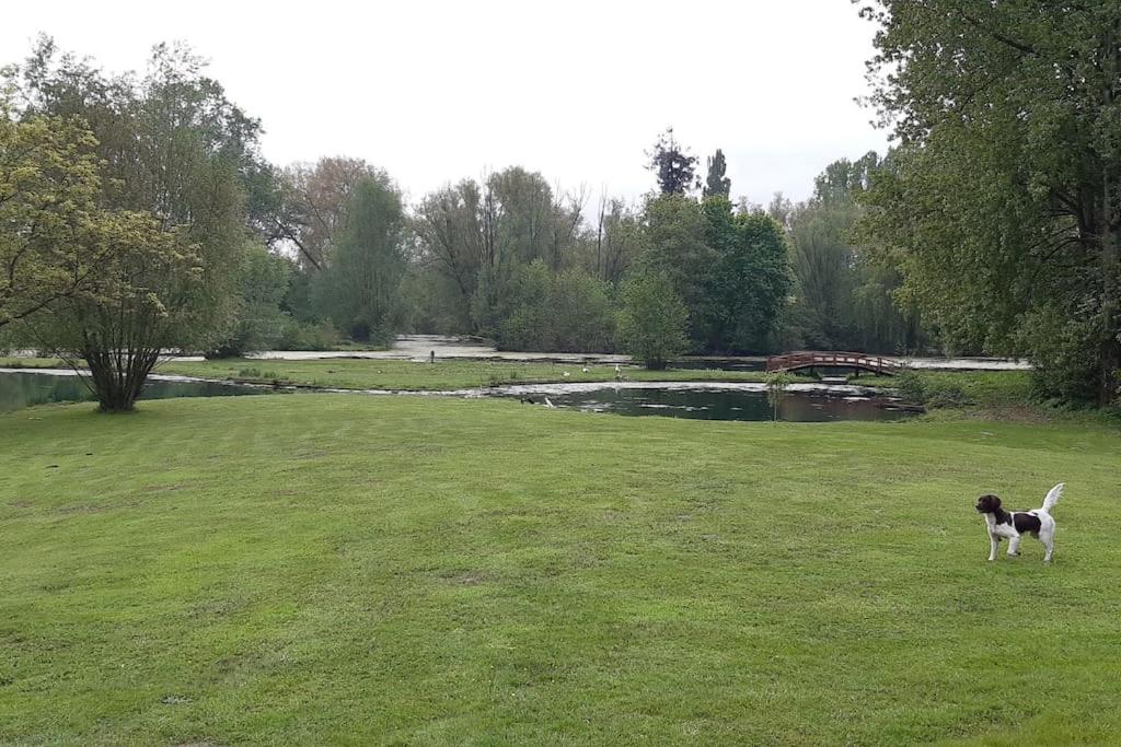 GrandcourtAdorable maison d’hôtes bordée d’étangs au calme.的狗站在池塘附近的田野上