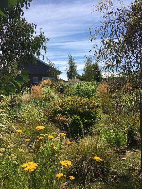 Trenthama'meadow的一座花园,在房子前面有黄色的花朵