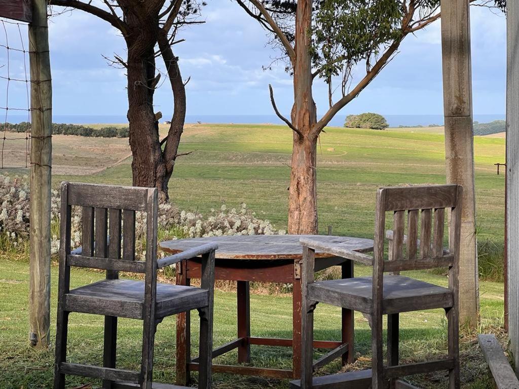 普林斯敦Twelve Apostles Ocean View的一张旧桌子和两把椅子坐在树边