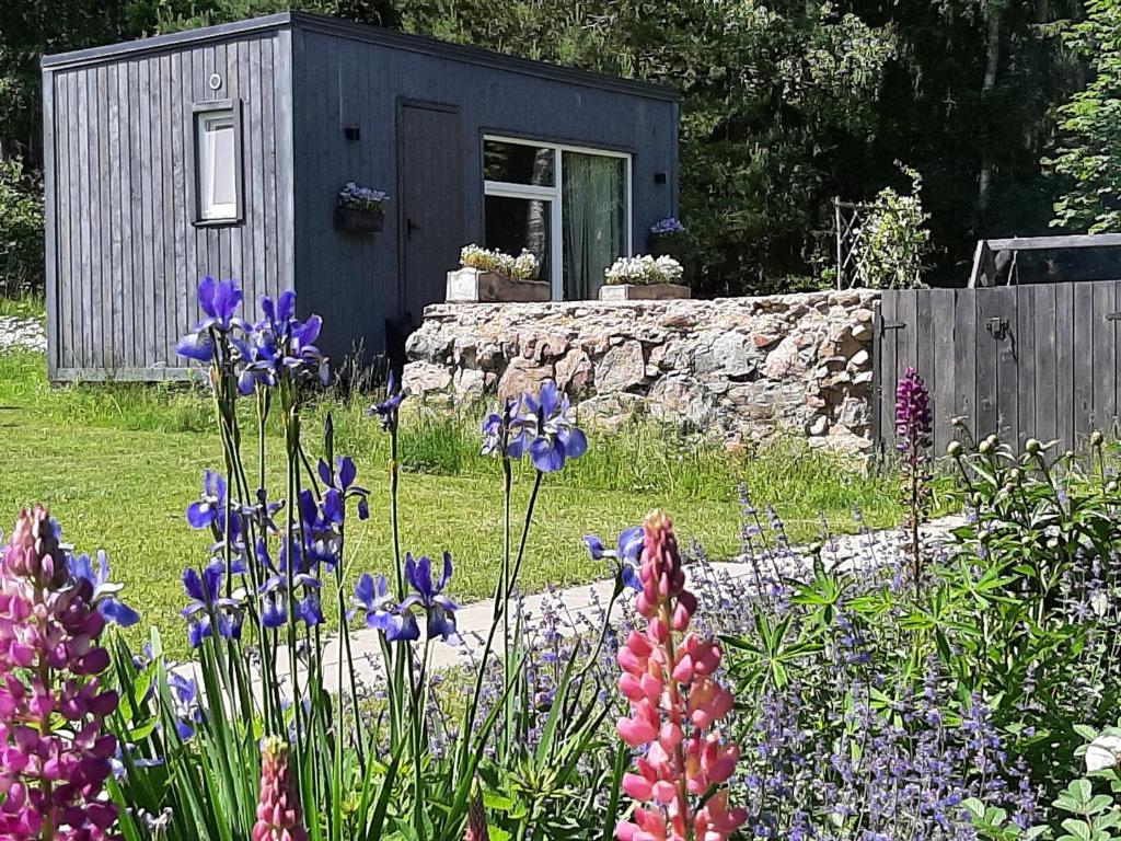 TuraidaMellene 1 bedroom house in nature & hot tube的棚前种有紫色花的花园