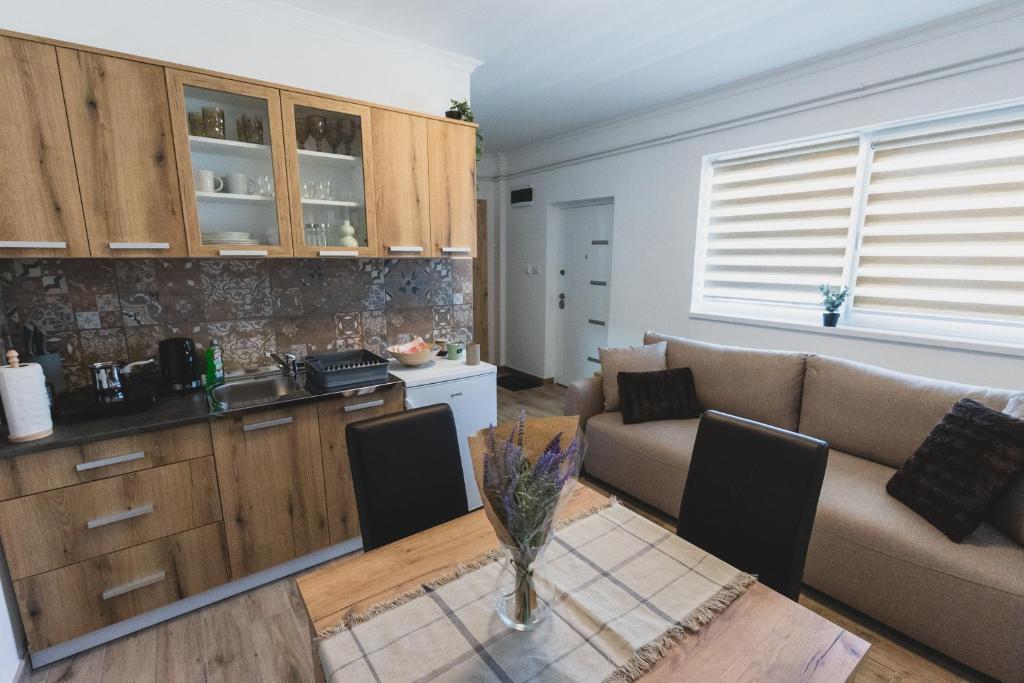 苏博蒂察ALFA Apartmani的厨房以及带沙发和桌子的客厅。