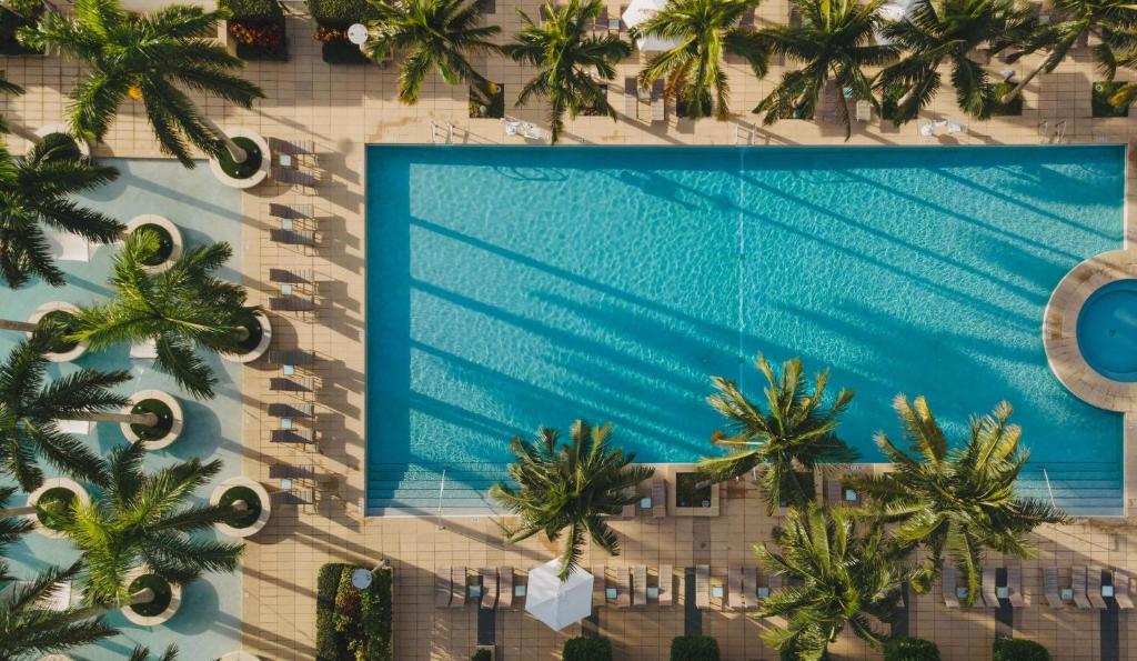 迈阿密迈阿密四季酒店的享有棕榈树游泳池的顶部景致