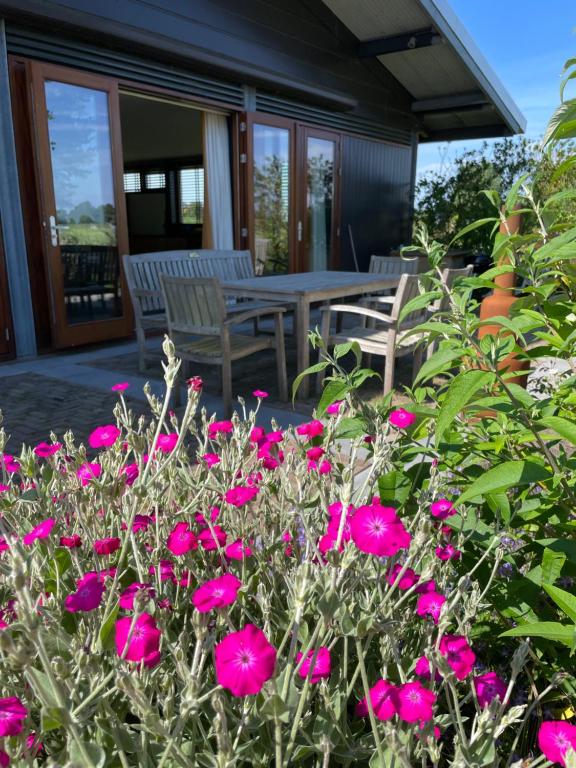 韦斯普Hestar Husid, het luxe paardenhuis的庭院里种有粉红色的鲜花,配有桌椅