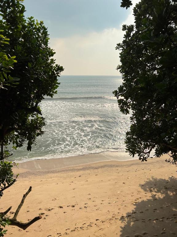 卡里塔Lippo carita selatan condo 3bedroom langsung pantai的从两棵树之间可欣赏到海滩景色