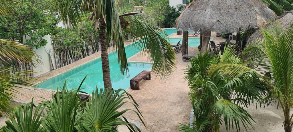 普罗格雷索Pedacito de cielo的享有棕榈树游泳池的顶部景致