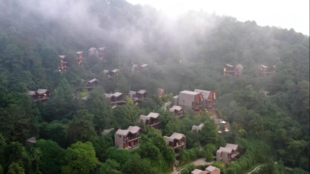 纳加阔特Kavya Resort & Spa的森林中间的一群房子