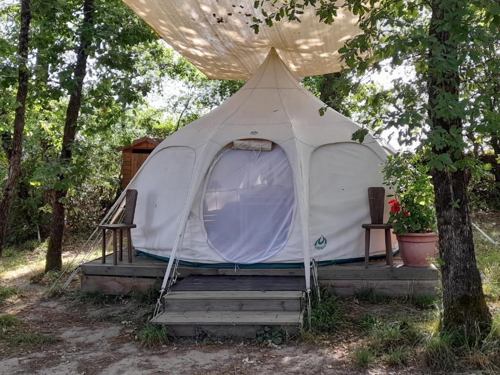 昂热le clos de épinettes的树林里树下的一个白色帐篷