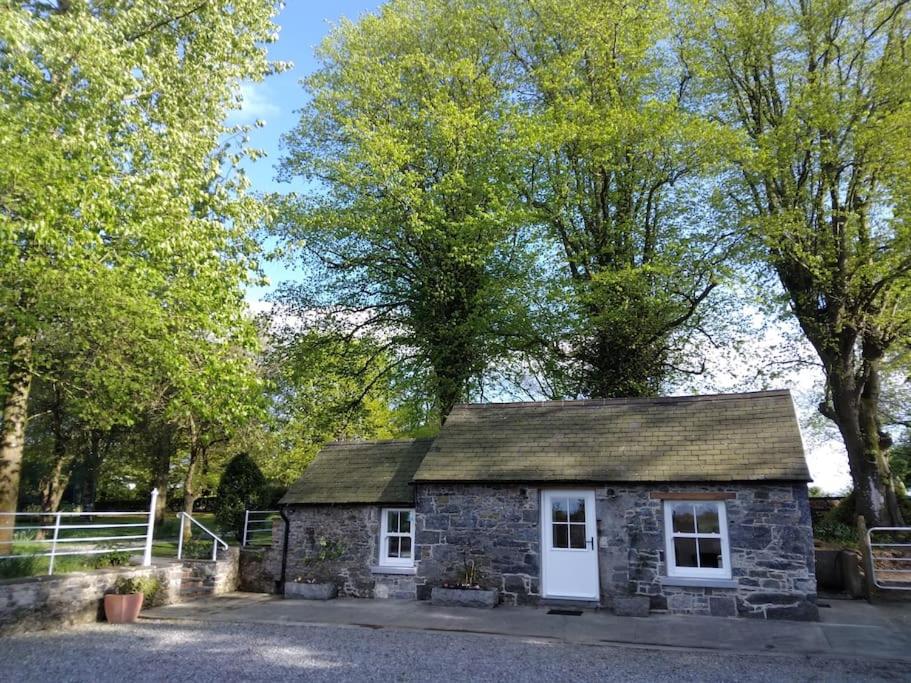 基尔肯尼Roberts Yard Country Cottage的一座带白色窗户和屋顶的小石头建筑