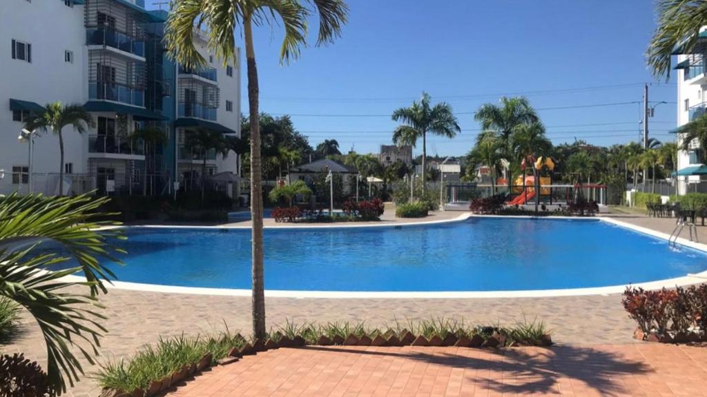 圣地亚哥洛斯卡巴Chez Coralie的一座棕榈树和建筑的大型游泳池