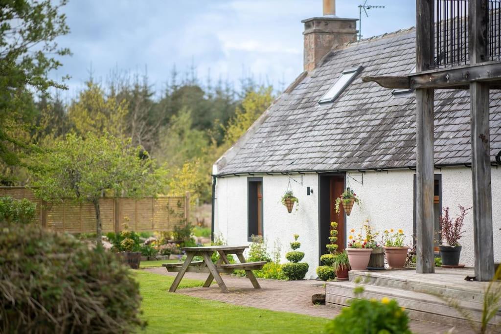 奈恩Cosy & rustic retreat - Woodland Cottage.的白色小屋前面设有野餐桌