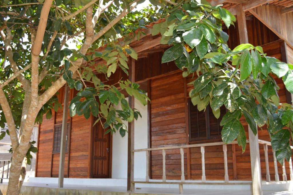 菲格雷多总统镇Aldeia Mari-Mari Amazon Lodge的前面有一棵树的木屋