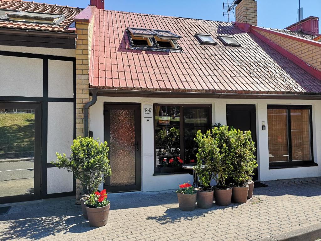 奈达Mini Kotedžas Vakaris的商店前有盆栽植物的建筑