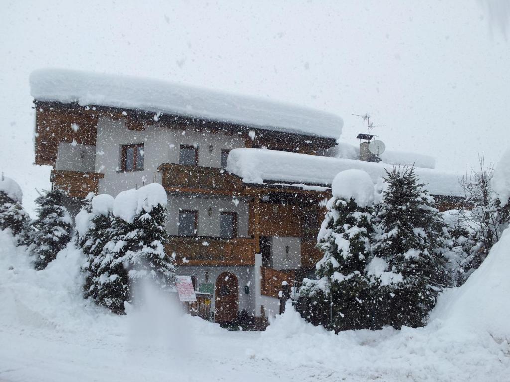 阿拉巴Chalet Brigitte B&B的一座房子,前面有树木,被雪覆盖着