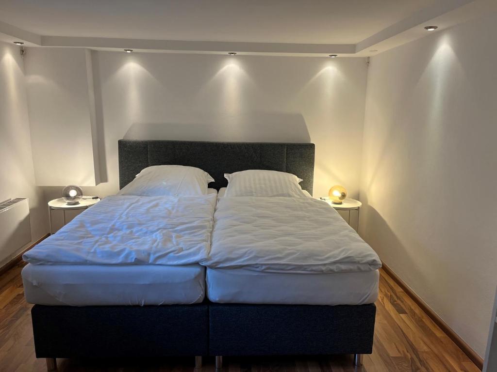代特莫尔德Detmold - Hiddesen - Premium - Appartement的一张大床,位于带2个床头柜的房间