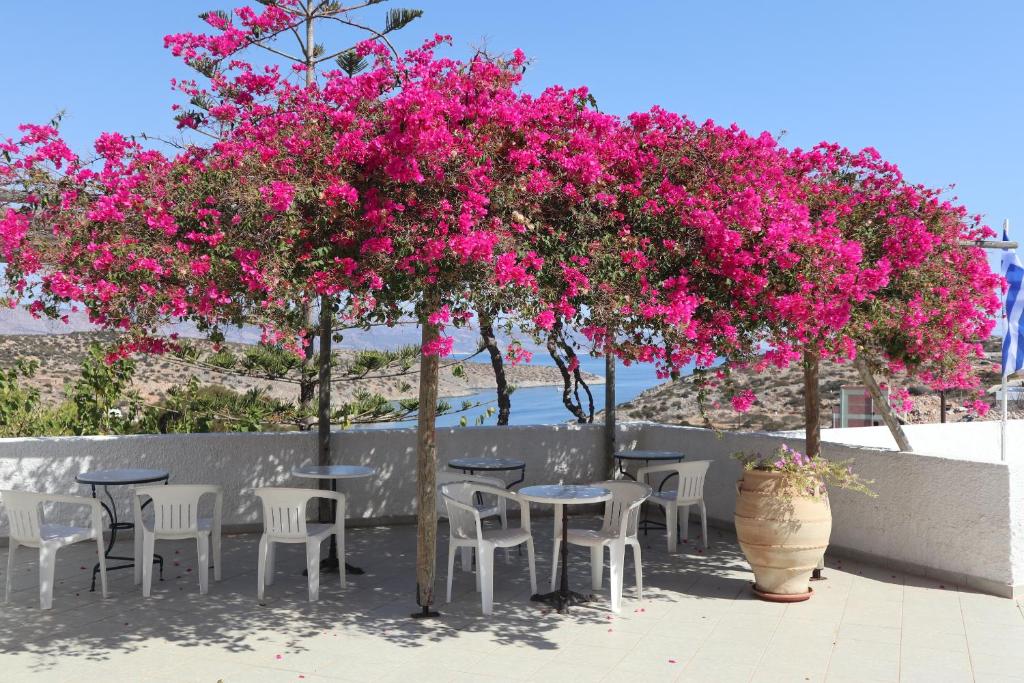 伊拉克利亚岛Anna's Place Rooms的树下摆放着粉红色花朵的桌椅
