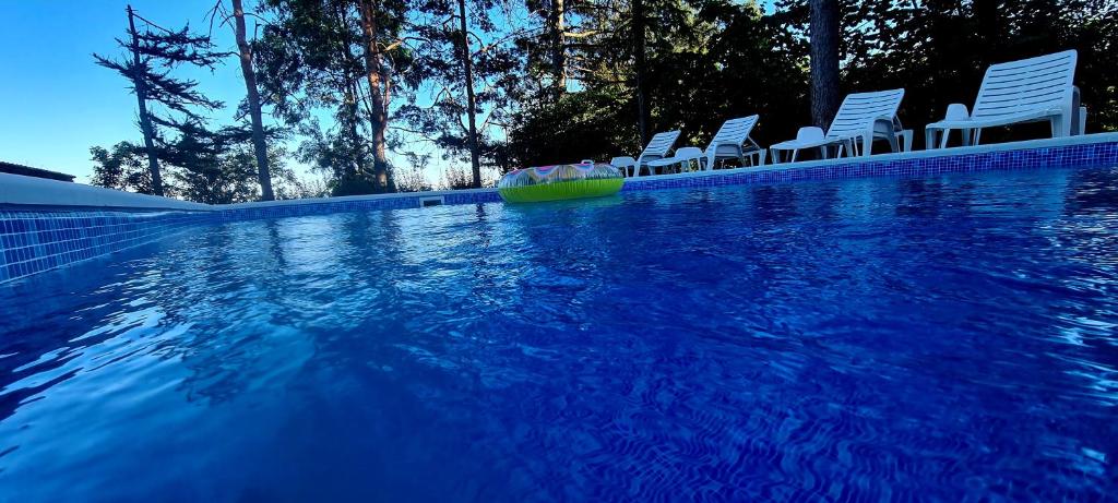 Velika RemetaVila Sinfonia, a house with a pool的蓝色的海水,里面装有椅子和木筏