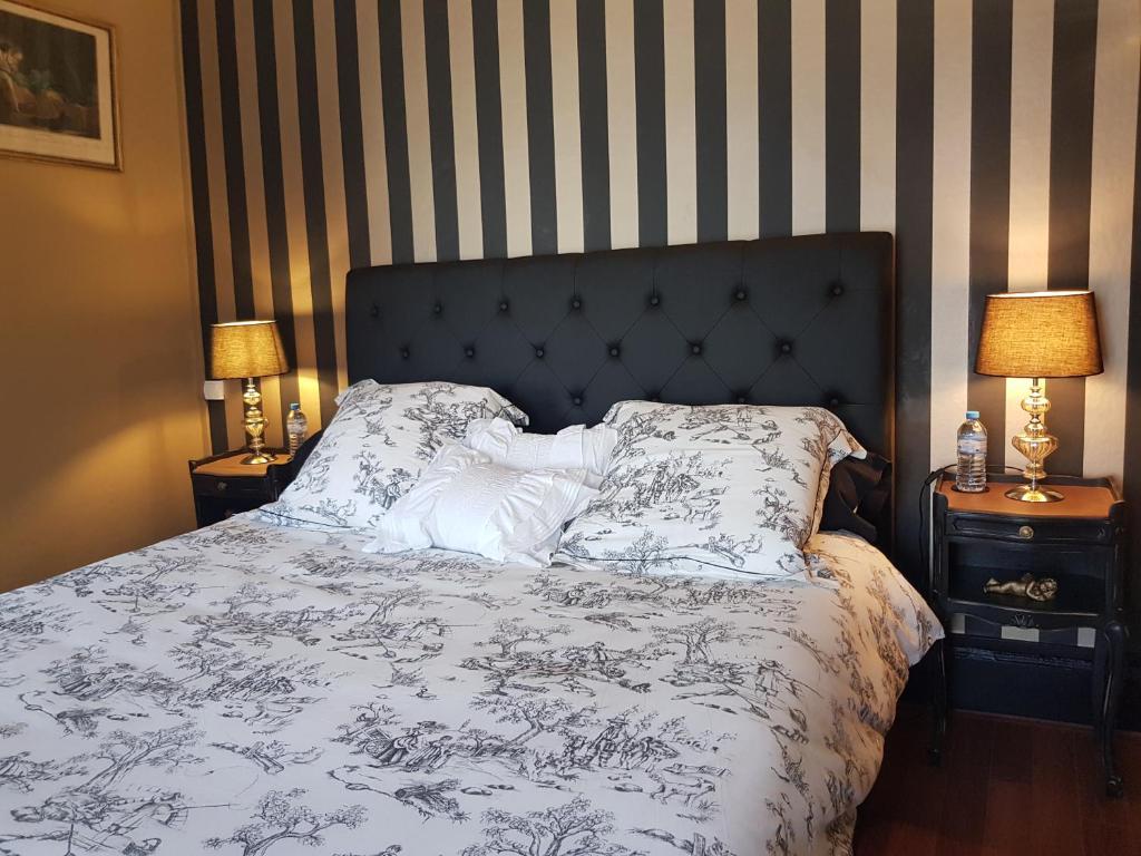 枫丹白露Le Bon'Aparte - Hypercentre de Fontainebleau的一间卧室配有一张床和两个带灯的床头柜
