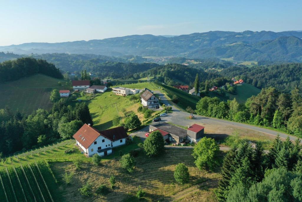 洛伊查赫Trautenburg Stub`n的山丘上小村庄的空中景观