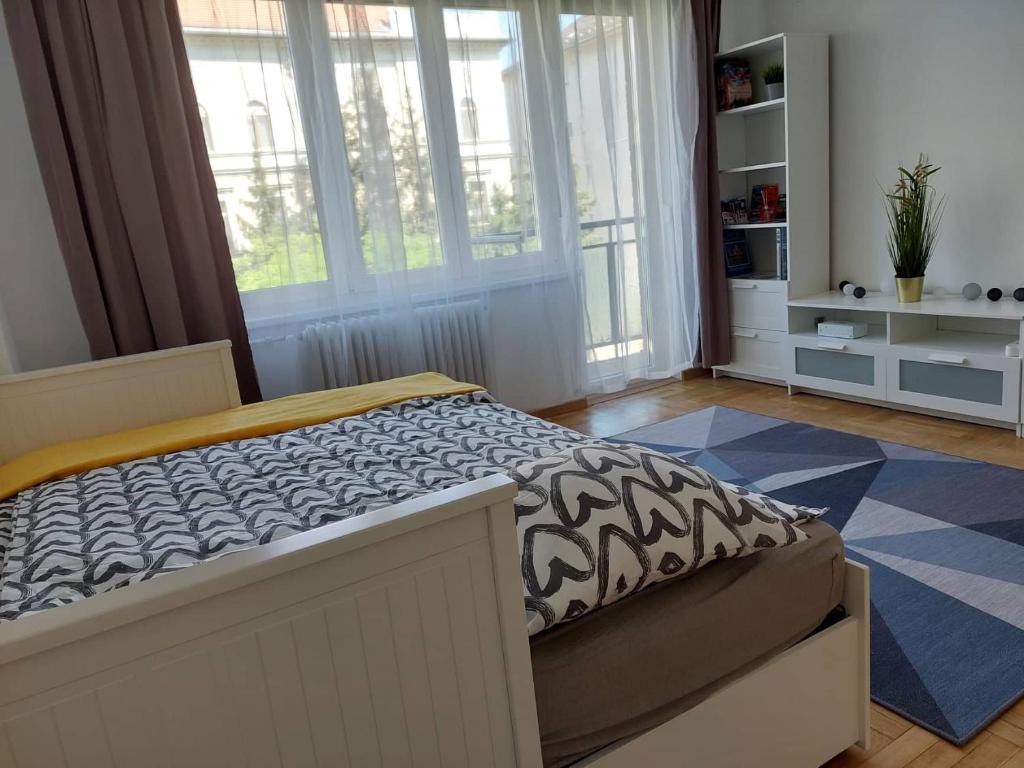 布达佩斯B30 Apartman的一间设有床铺的卧室,位于带窗户的房间内