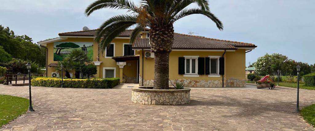Casa LinariVilla Pedrosu的黄色房子前面的棕榈树