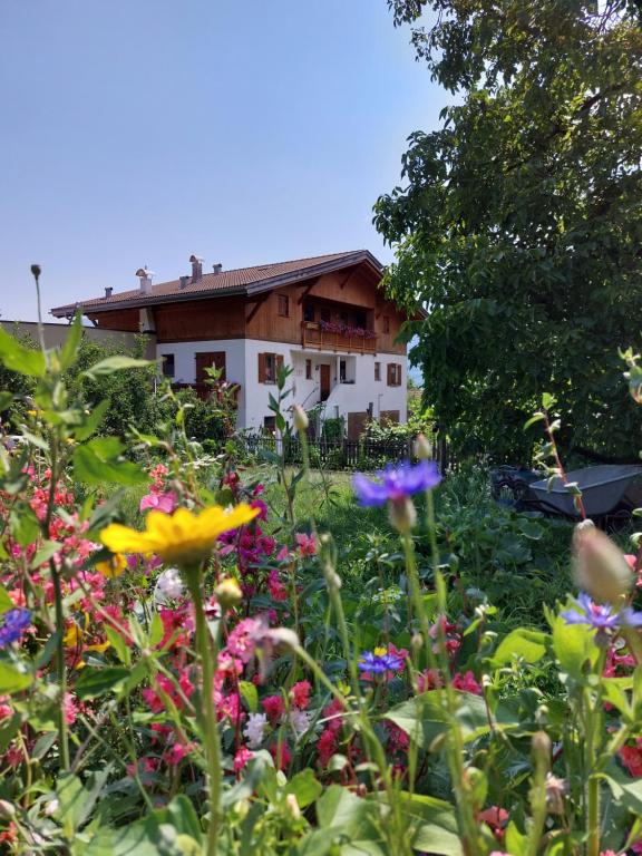 梅拉诺Oberschoeberlehof的一座花园,在房子前种有鲜花