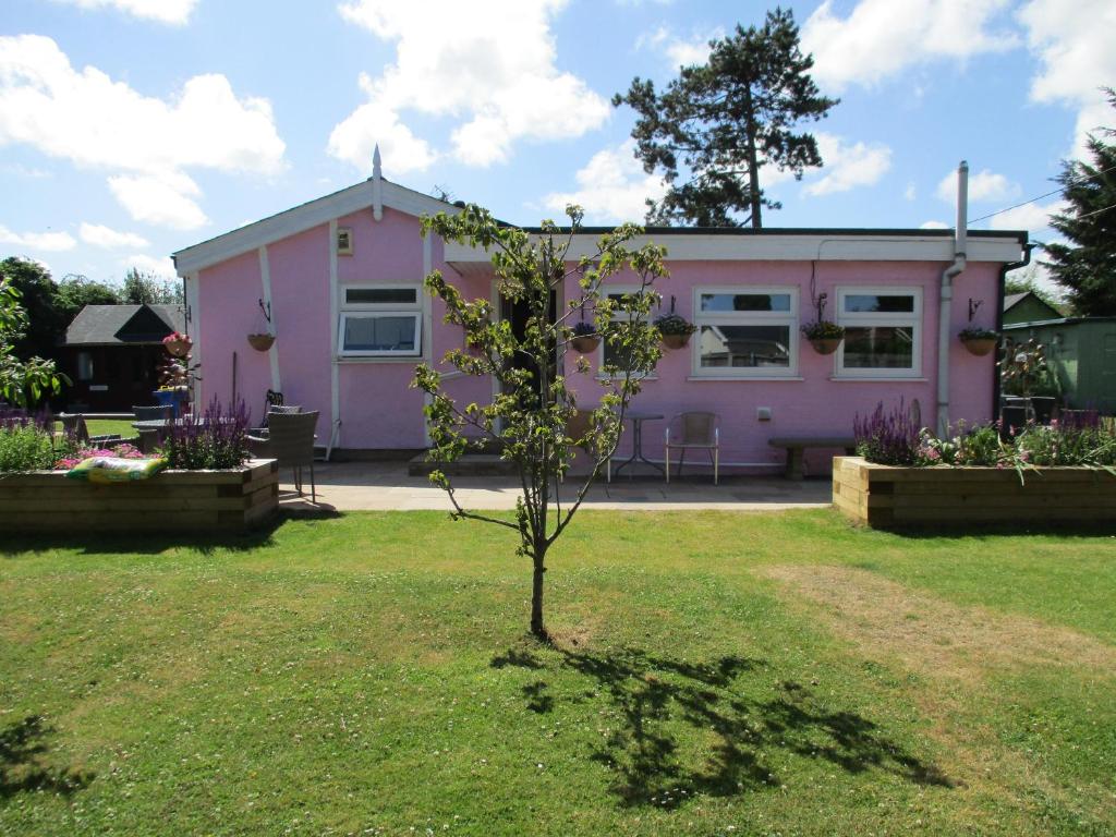 惠茨特布尔Hillview Bed and Breakfast的粉红色房子前面的小树
