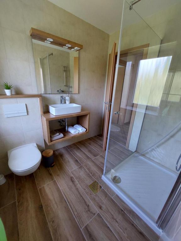 布莱德Apartma Mango的带淋浴、卫生间和盥洗盆的浴室