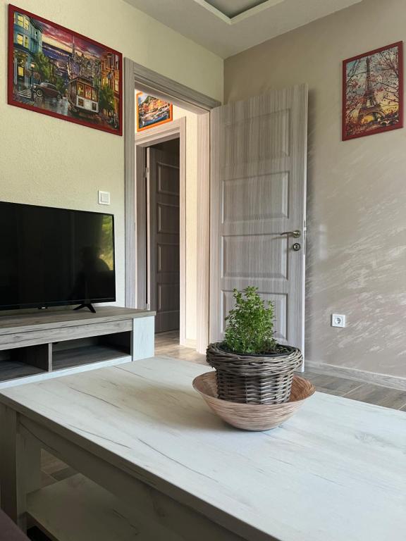 布德瓦Apartmani Rezevici的带电视的客厅和餐桌上盆栽植物