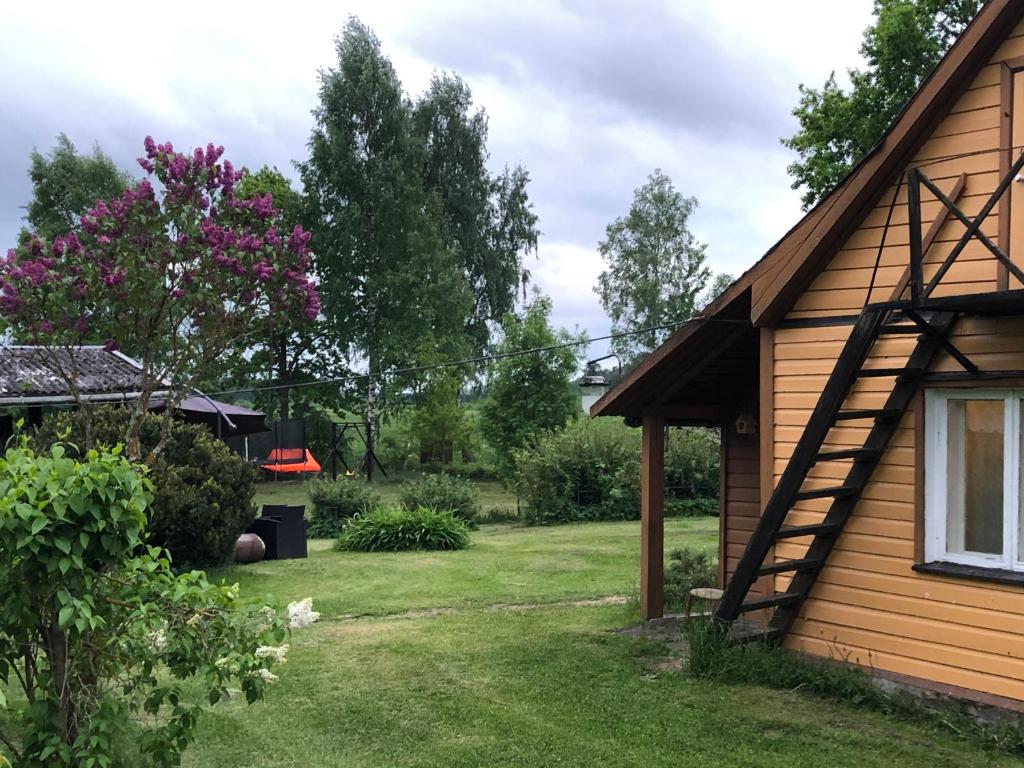 Väike-RakkeVedru Puhketalu的树屋旁的院子