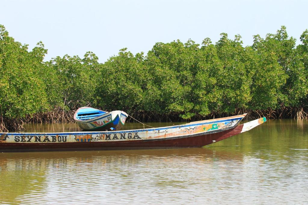 斯基灵角Bolongs Passion的坐在树旁的水中的小船