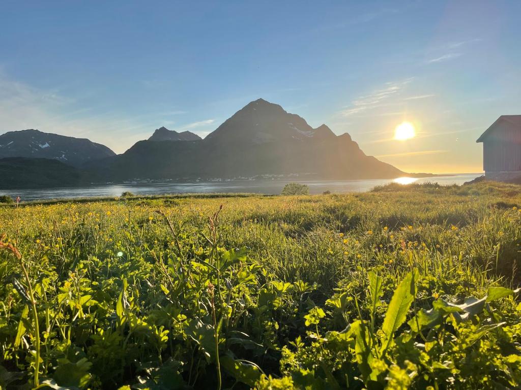 Leilighet med havutsikt平面图