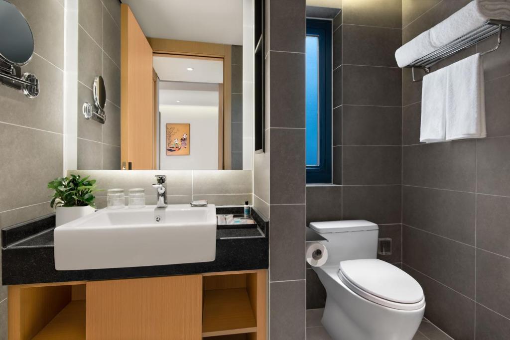 成都成都馨乐庭高新公寓酒店的一间带水槽、卫生间和镜子的浴室