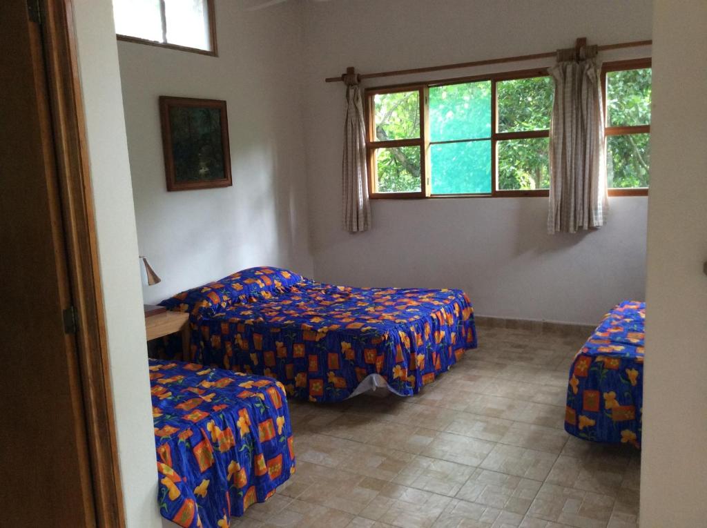 Piedra PintaAventurec的带沙发、椅子和窗户的客厅